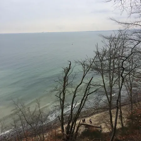 Green Sopot-2
